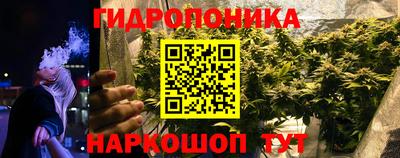 соль ск Кулебаки