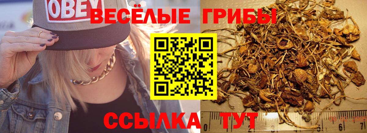 Галлюциногенные грибы Cubensis  Вход с VPN  Зеленокумск 